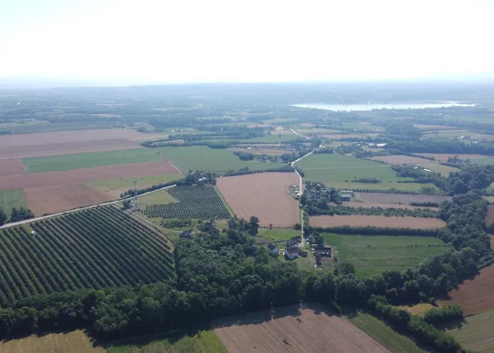 La Corte Delle Rose Ub *