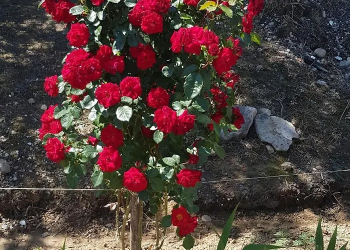 펜션 La Corte Delle Rose Ub Ub