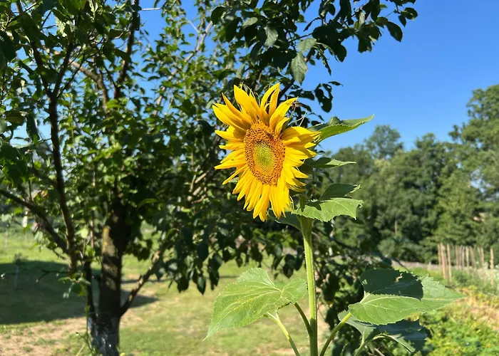 펜션 La Corte Delle Rose Ub Ub